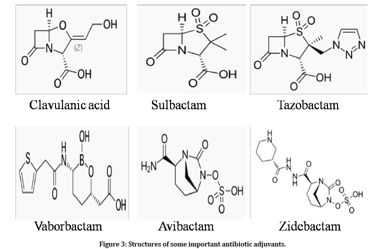 Medical-Dental-adjuvants