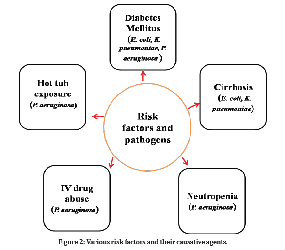 Medical-Dental-agents