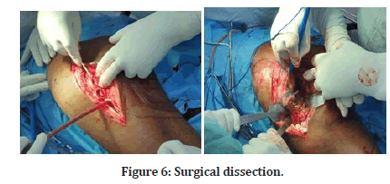 Medical-Dental-dissection