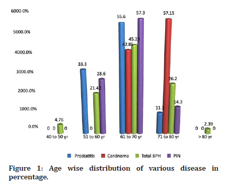 Medical-Dental-distribution