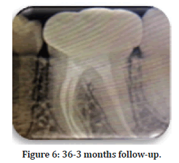 Medical-Dental-months