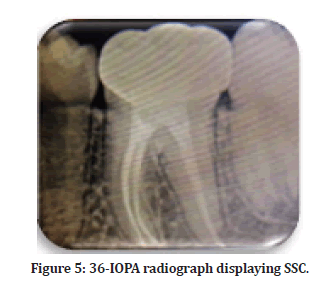 Medical-Dental-radiograph