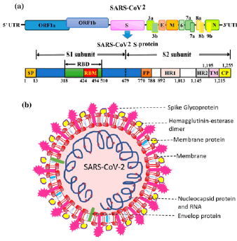 jrmds-Study-g001