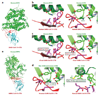 jrmds-Study-g003