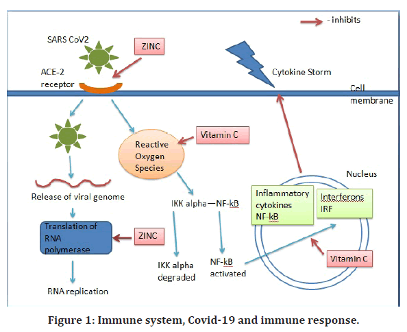 medical-dental-science-immune-response