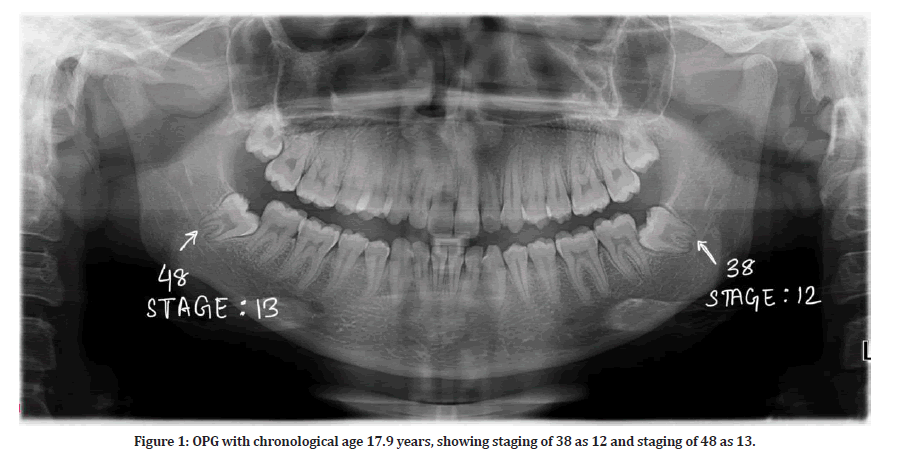 medical-dental-staging