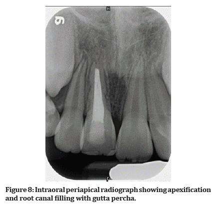 Medical-Dental-gutta