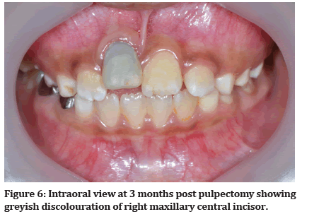 Medical-Dental-maxillary