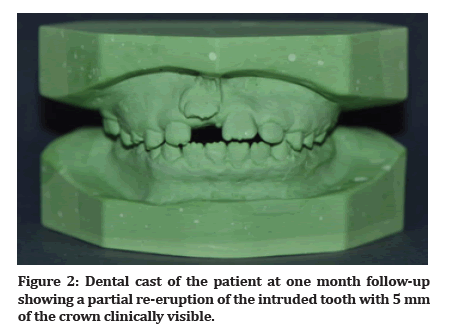 Medical-Dental-month