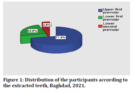 Medical-Dental-participants